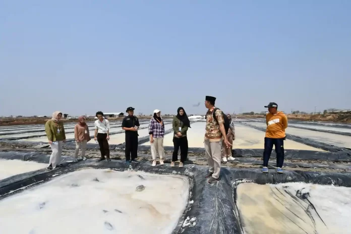 pertamina balongan petani garam