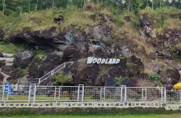 woodland woodland