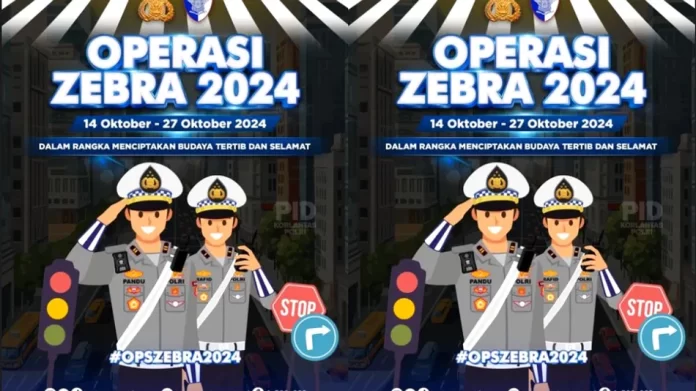 operasi zebra 2024