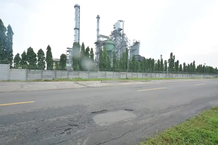 siapkan buffer zone pertamina balongan tanam 6.900 pohon siapkan buffer zone pertamina balongan tanam 6.900 pohon