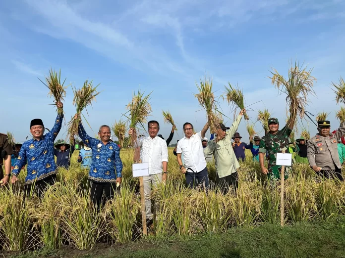 pj gubernur jawa barat ikuti panen raya di indramayu