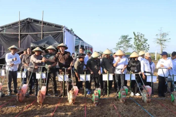 swasembada pangan indramayu