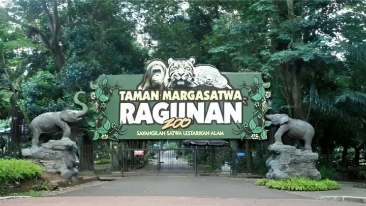 Taman Margasatwa Ragunan Dipadati 70 Ribu Pengunjung di Lebaran Kedua