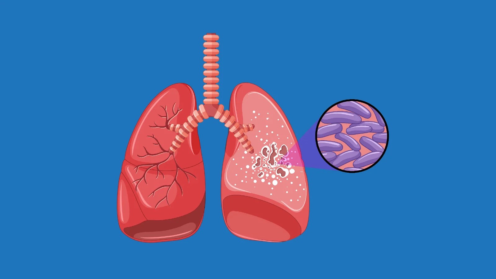 24 Maret Hari Apa? Inilah 3 Hari Penting yang Diperingati Hari Ini